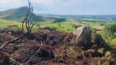 Stafford grassland fire sparked by fireworks near miss — Stafford news photo