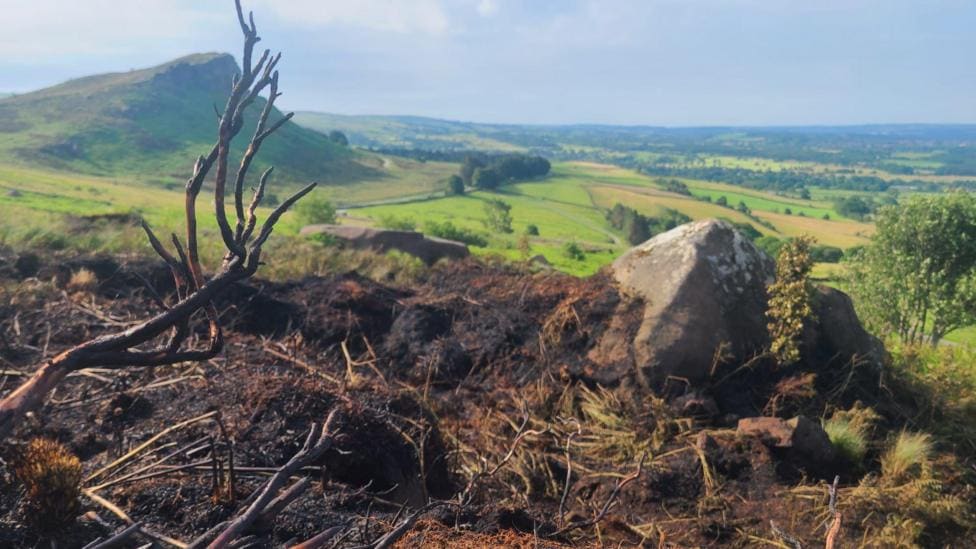 Stafford grassland fire sparked by fireworks near miss — Stafford news photo (BBC Stoke & Staffordshire)