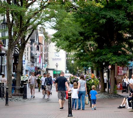 Stafford Council Proposes Face Covering Ban — Stafford news photo