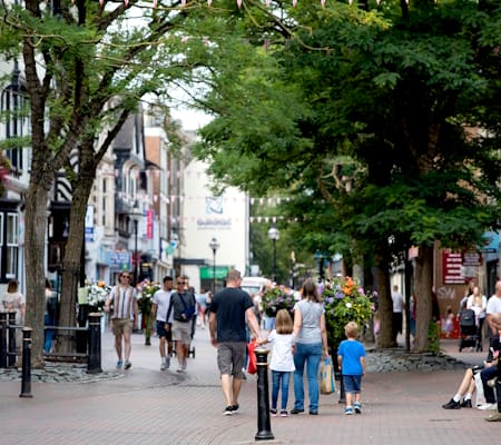 Stafford Council Proposes Face Covering Ban — Stafford news photo (Stafford Borough Council)